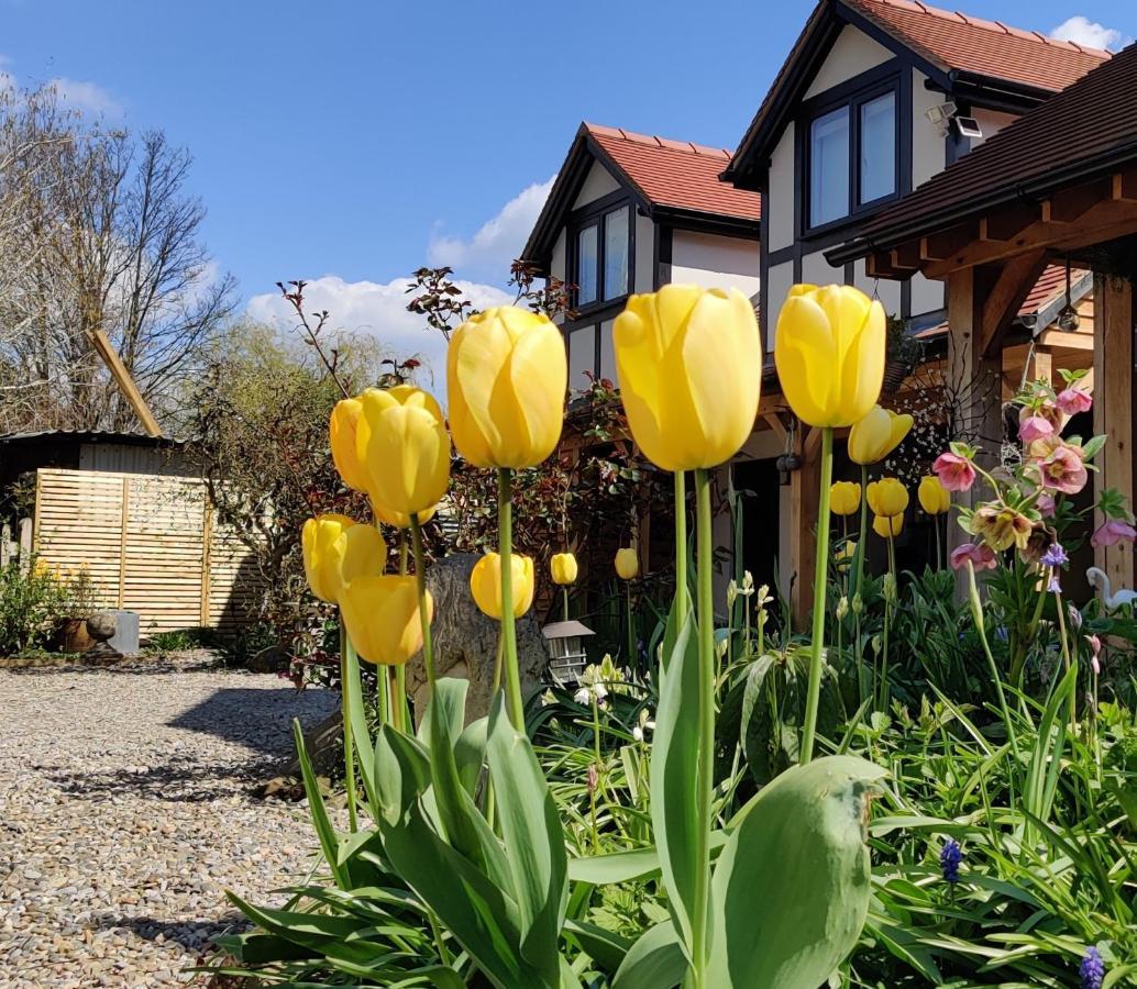 Delightful & Picturesque Modern Detached Apartment, Next To Chester Zoo, Near Park And Ride To City Centre Екстериор снимка